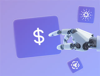 Crypto portfolio growth tracker showing profits and balance on Setu Binimoyona